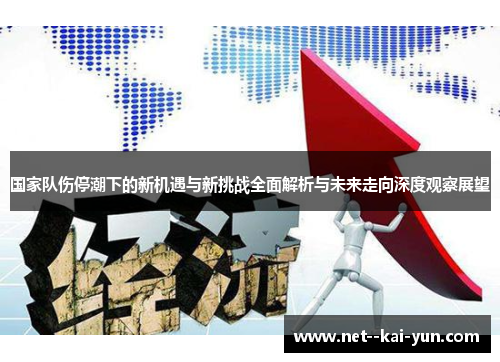 国家队伤停潮下的新机遇与新挑战全面解析与未来走向深度观察展望